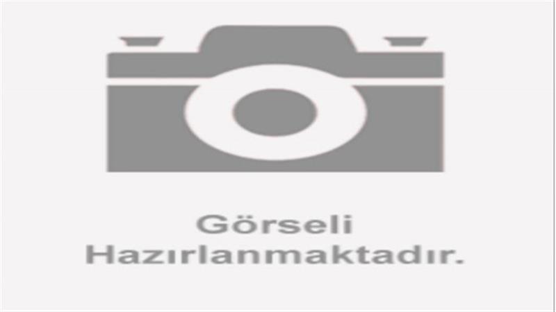 ARKA FREN PEDAL YAYI (TNT125 PRO)